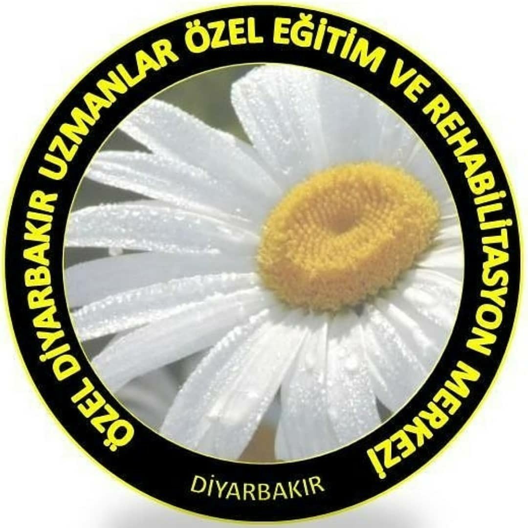 Diyarbakır Uzmanlar papatya logosu